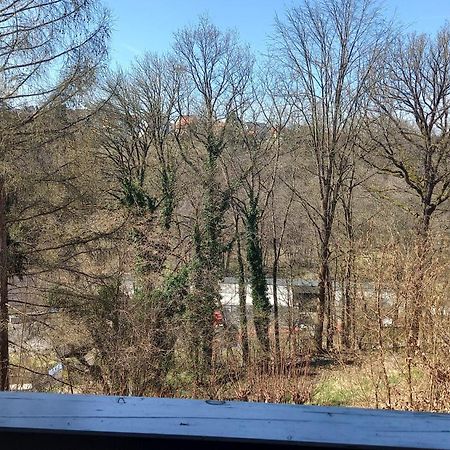 Goldsteig-Einzelzimmer Windischeschenbach Esterno foto