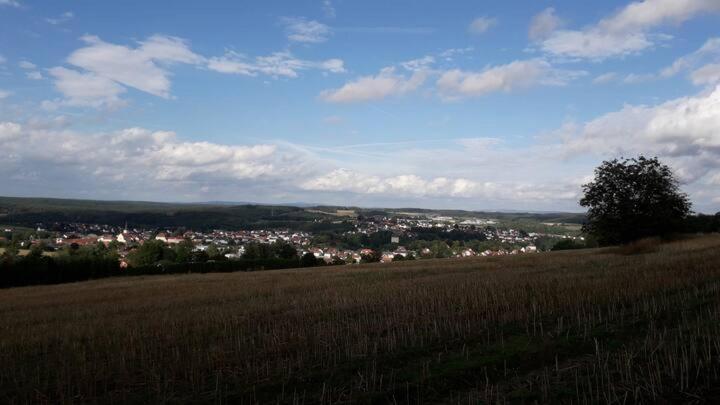 Goldsteig-Einzelzimmer Windischeschenbach Esterno foto