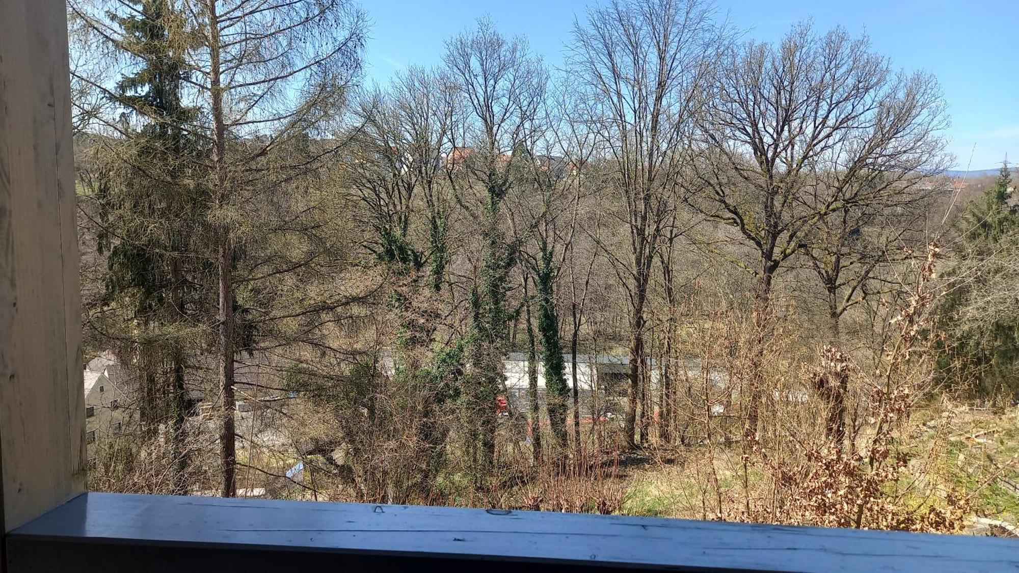 Goldsteig-Einzelzimmer Windischeschenbach Esterno foto